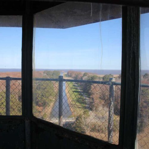 View from the Mattamuskeet Lodge tower