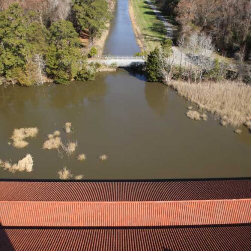 View from the top of the Mattamuskeet Lodge tower