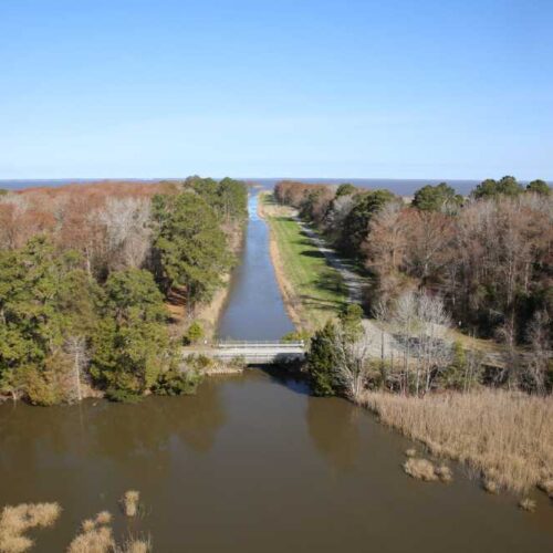 View from the top of the Mattamuskeet Lodge tower