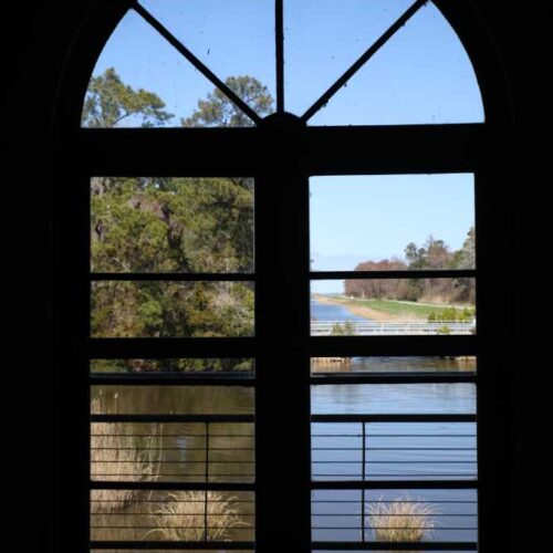 View from a window inside Mattamuskeet Lodge